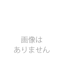 雲仙観光ホテルオリジナルボールペン
